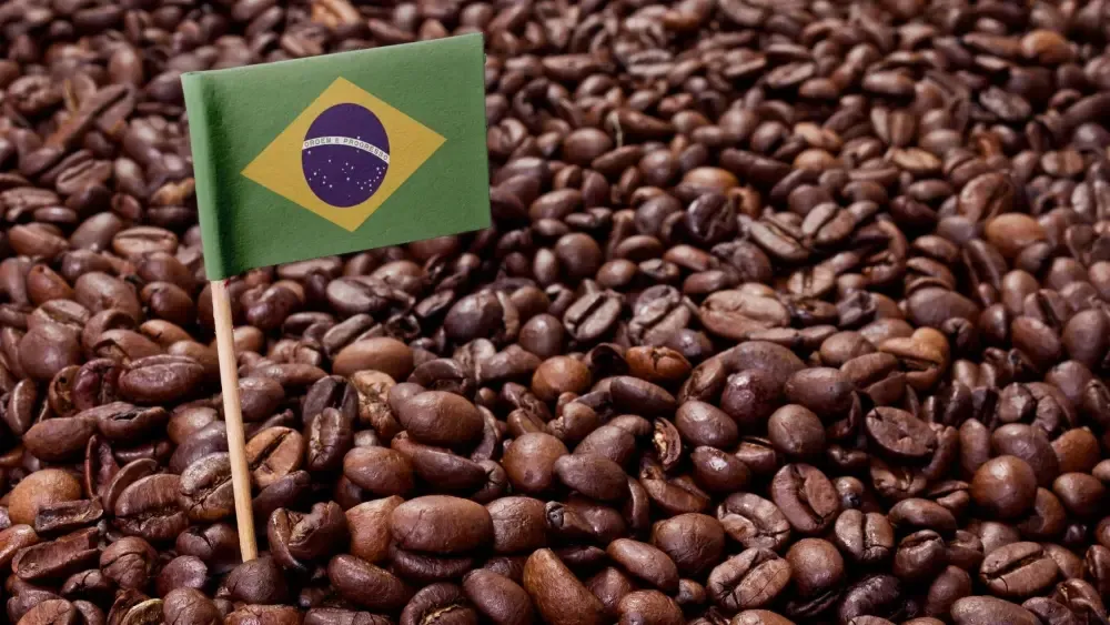 Brazil: A Model for Coffee Industry Development Through International Trade