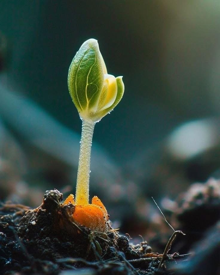 Chúng Ta Đang Sống Hay Đang Được Lập Trình